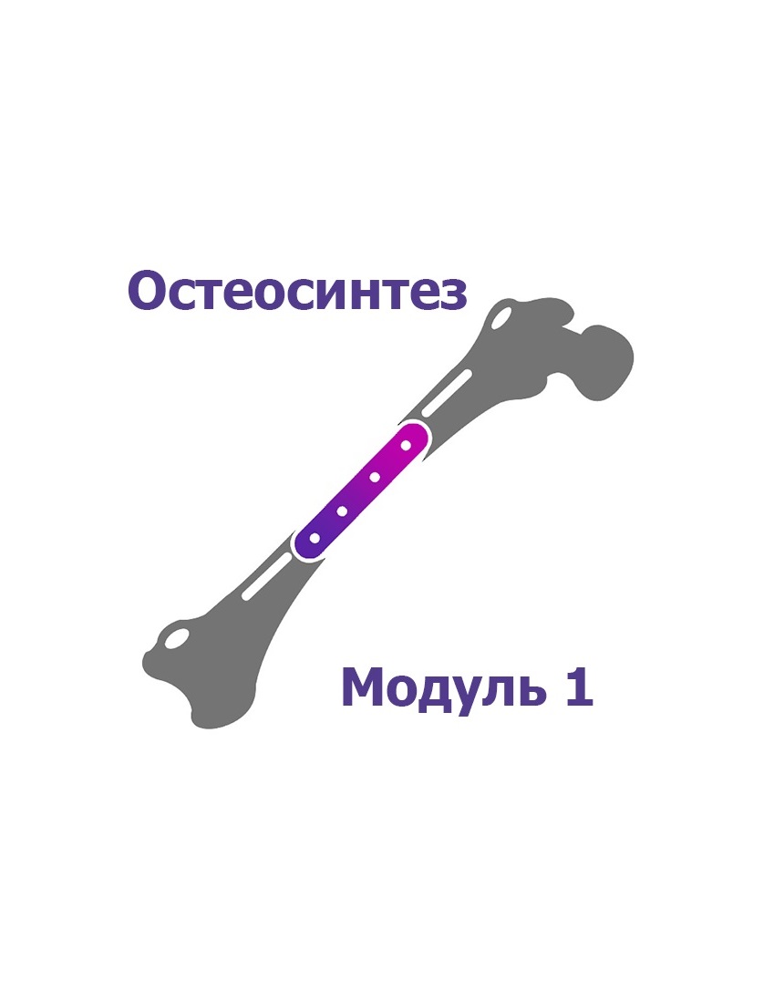 Остеосинтез мелких домашних животных. Базовый курс