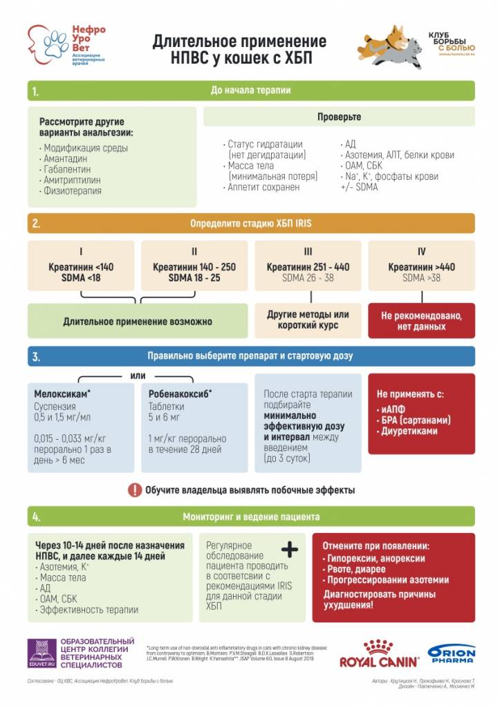 Лечение заболеваний опорно-двигательного аппарата у собак народными методами