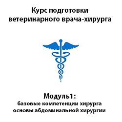 Курс подготовки ветеринарного хирурга – базовый модуль