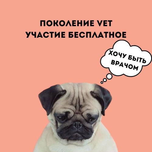 Поколение VET