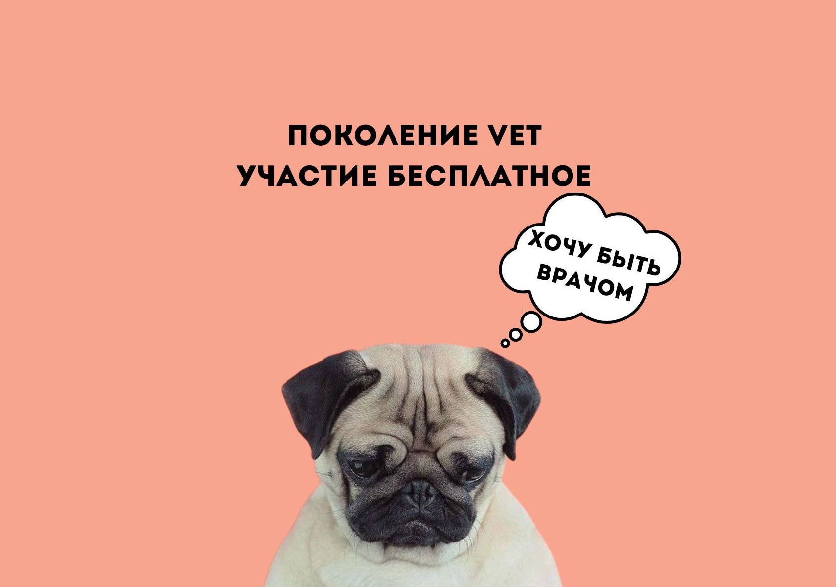 Поколение VET